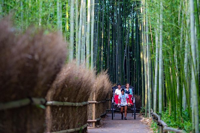 Kyoto Arashiyama Rickshaw Tour with Bamboo Forest - The short bamboo-street pass: picture time without burning your legs