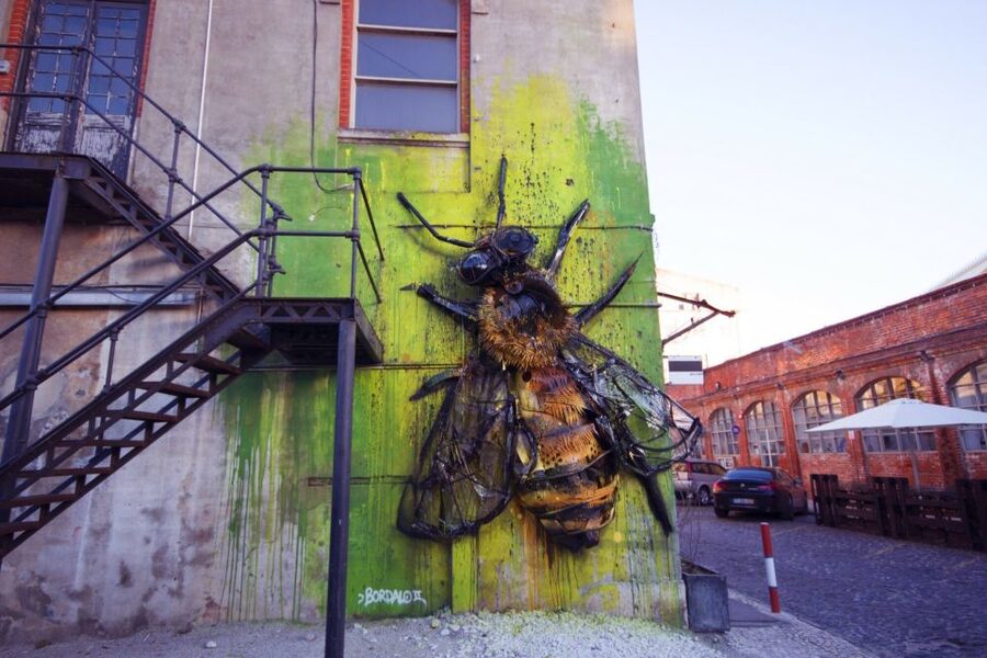 Lisbon: 3-Hour Street Art Tuk Tuk Tour - Quick Practical Tips Before You Go