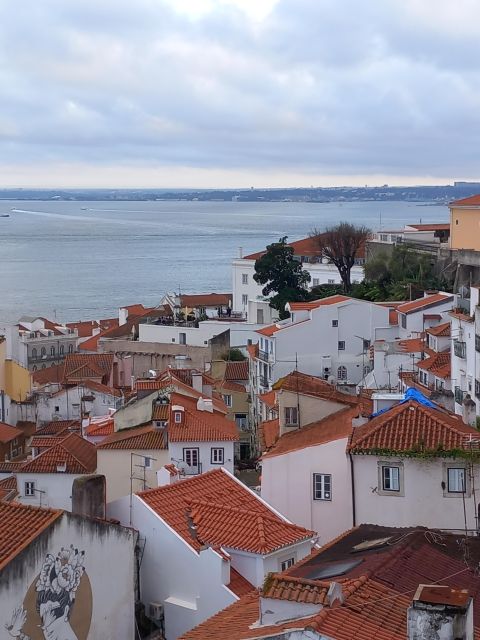 Lisbon: Chiado, Bairro Alto, and Principe Real Tuk Tuk Tour - Miradouro de São Pedro de Alcântara: the viewpoint stop you can actually enjoy