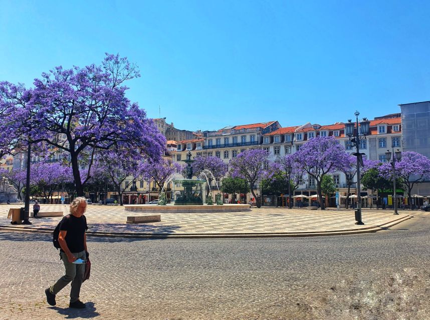 Lisbon: Old Town TukTuk Tour and Scenic Viewpoints in Alfama - Senhora do Monte and Santa Engrácia: two viewpoints, two flavors