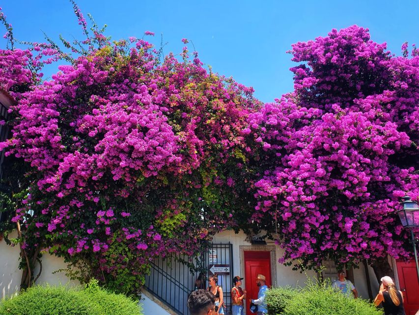 Lisbon: Old Town TukTuk Tour and Scenic Viewpoints in Alfama - Alfama’s feel: flea market stops and photo-friendly wandering