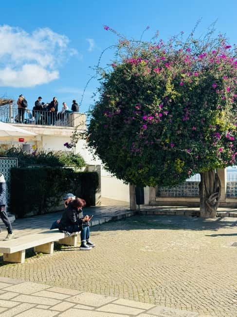Lisbon: Private Sightseeing Tour by TukTuk - São Vicente and the Pantheon area: old streets and recognizable landmarks