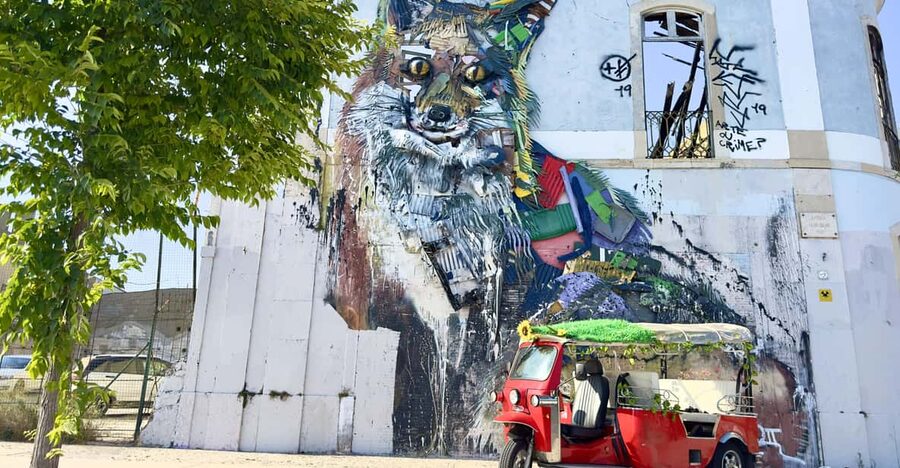 Lisbon: Sightseeing City Tour by Tuk-Tuk - The Ride Phase: Let the Tuk-Tuk Do the Work