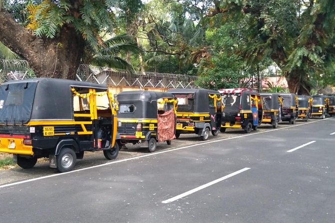 LITTLE KOCHI TUK-TUK TOURS With Pickup from Cruise Ships - Mattancherry Palace, Paradesi Synagogue, and what to plan for
