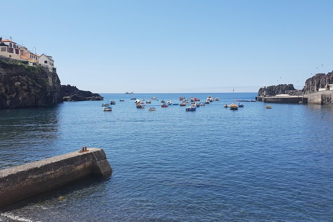 Lobos Chamber - Fisherman Village by tuk tuk - Stop 1: Câmara de Lobos, Poncha, and the working harbor vibe