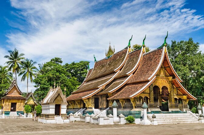 Luang Prabang Evening Food Tour by Tuk-Tuk - Key highlights at a glance