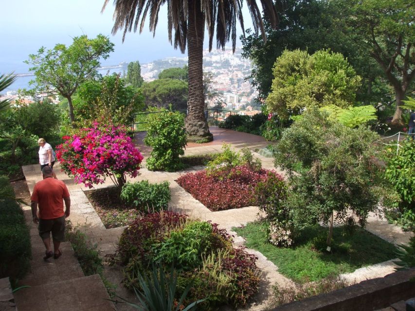 Madeira: Botanical Garden in a Tuk-Tuk Tour - Quick reasons to book this tuk-tuk Botanical Garden tour