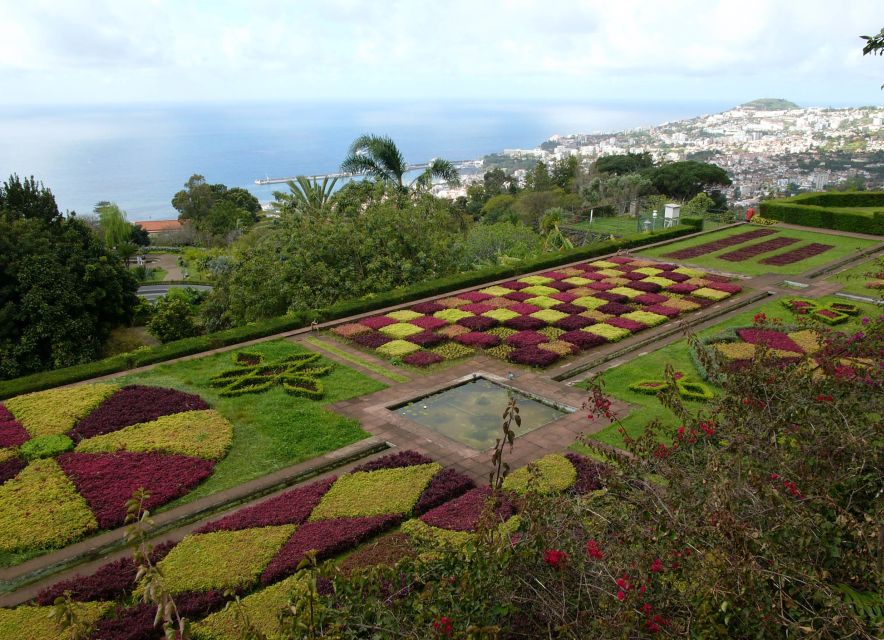 Madeira: Botanical Garden in a Tuk-Tuk Tour - Pickup in Funchal and the uphill ride you’ll actually remember