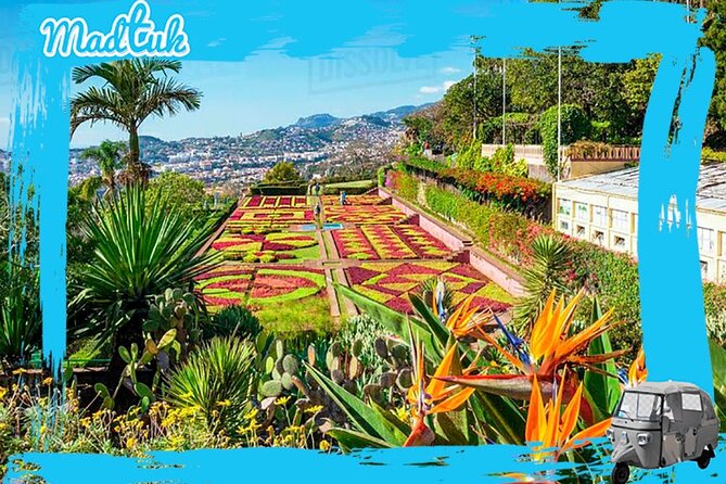 Madeira Botanical Gardens and Old Town Tuk Tuk Tour by MadTuk - Key Things To Know Before You Go