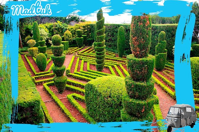 Madeira Botanical Gardens and Old Town Tuk Tuk Tour by MadTuk - A Tuk-Tuk Loop That Gets You Oriented Fast in Funchal