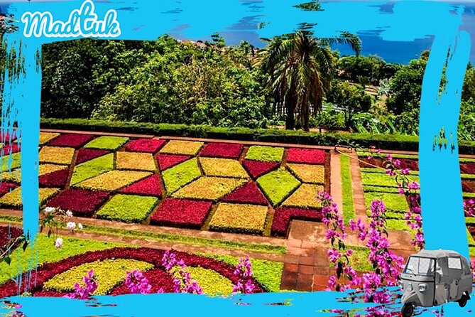 Madeira Botanical Gardens and Old Town Tuk Tuk Tour by MadTuk - Price and What You Actually Get for the Money