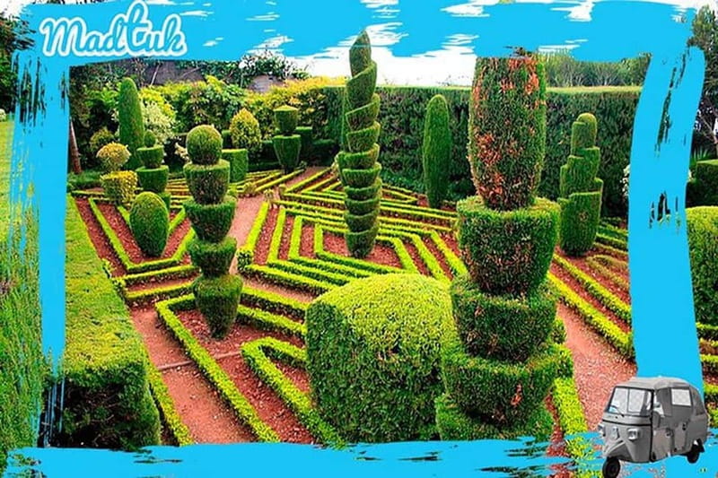 Madeira: Botanical Gardens + Old Town Tuk-Tuk Tour by MadTuk - Key things to know before you go