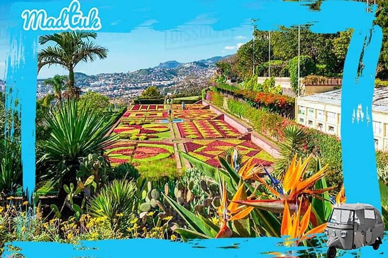 Madeira: Botanical Gardens + Old Town Tuk-Tuk Tour by MadTuk - Why a tuk-tuk in Funchal feels like a smart shortcut