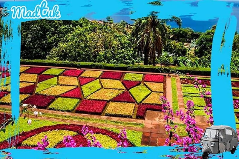 Madeira: Botanical Gardens + Old Town Tuk-Tuk Tour by MadTuk - Madeira Botanical Garden: 75 minutes to walk at your pace