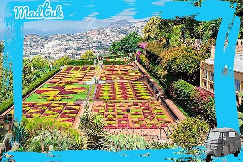 Madeira: Botanical Gardens + Old Town Tuk-Tuk Tour by MadTuk - Back on the road: a transfer that still counts as sightseeing