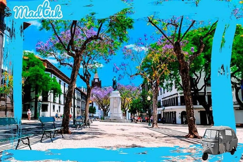Madeira: Botanical Gardens + Old Town Tuk-Tuk Tour by MadTuk - Farmers’ Market and Zona Velha: old town charm without the time sink
