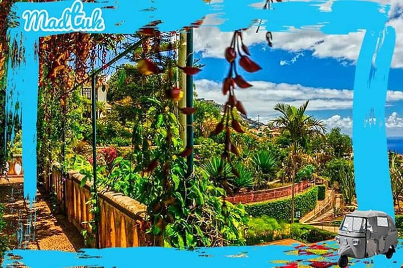 Madeira: Botanical Gardens + Old Town Tuk-Tuk Tour by MadTuk - Pickup in Funchal: easy start, clear boundaries