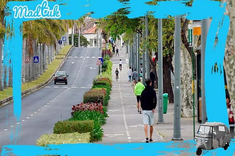 Madeira: Cabo-Girão Skywalk + Câmara de Lobos Tuk-Tuk Tour - Logistics that affect comfort: weight limits, luggage, and who should skip it