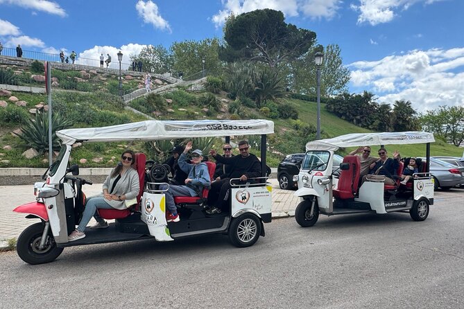Madrid Tuk Tuk & Olé Experience – Private 1.5h Cultural Tour - San Francisco el Grande, Puerta de Toledo, and Cánovas: history you can point at