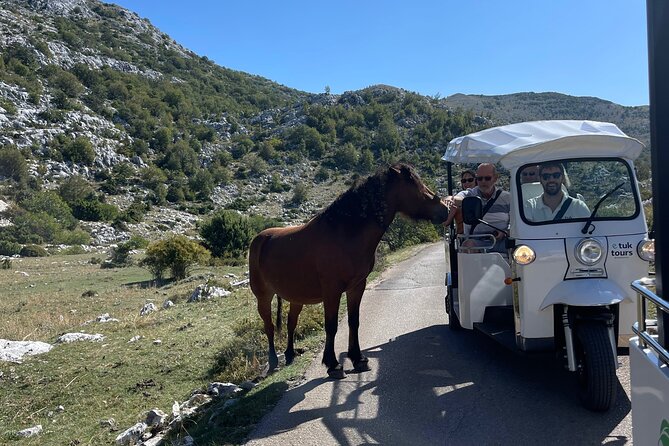Makarska: Skywalk Tour with a Tuk Tuk - Skip the line ticket - Who should book this tour (and who might skip it)