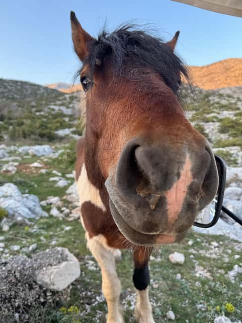 Makarska: Skywalk Tuk-Tuk Tour with Skip-the-Line Ticket - The food and drinks: more than a checkbox