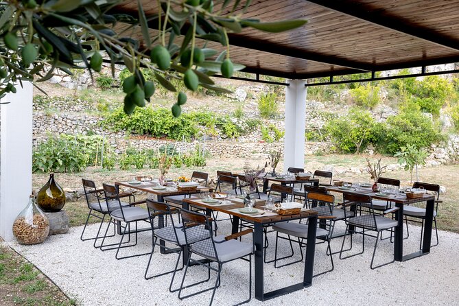 Makarska Tuk Tuk Tour Olive Grove, Scenic Views and Tastings - Olive oil tasting: how to make it worth the money