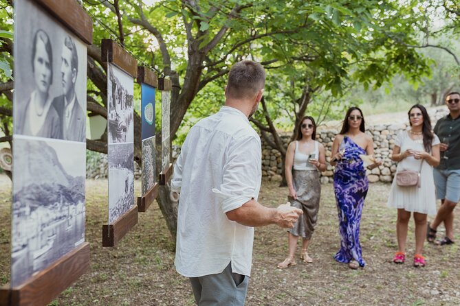 Makarska Tuk Tuk Tour Olive Grove, Scenic Views and Tastings - Peninsula of St. Peter: a tasting with a view