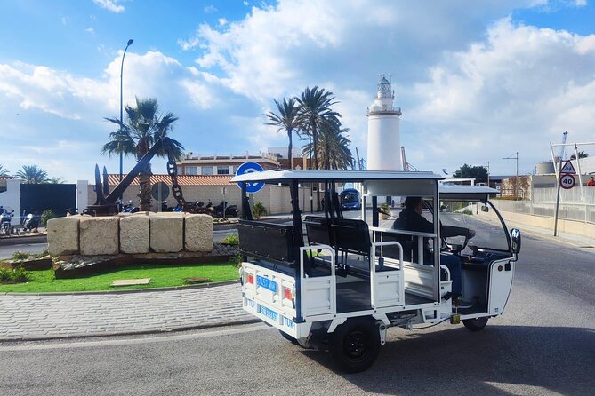 Malaga by Tuk Tuk i : 1 or 2 hours Private city tour - Malaga City Council: A Quick Civic Stop That Adds Context
