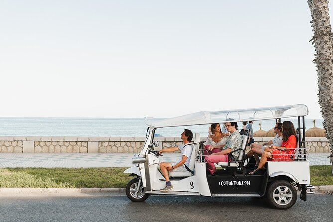 Malaga Express Tour with Local Guide in Eco Tuk Tuk Private - Should You Book This Malaga Express Eco Tuk Tuk Tour?