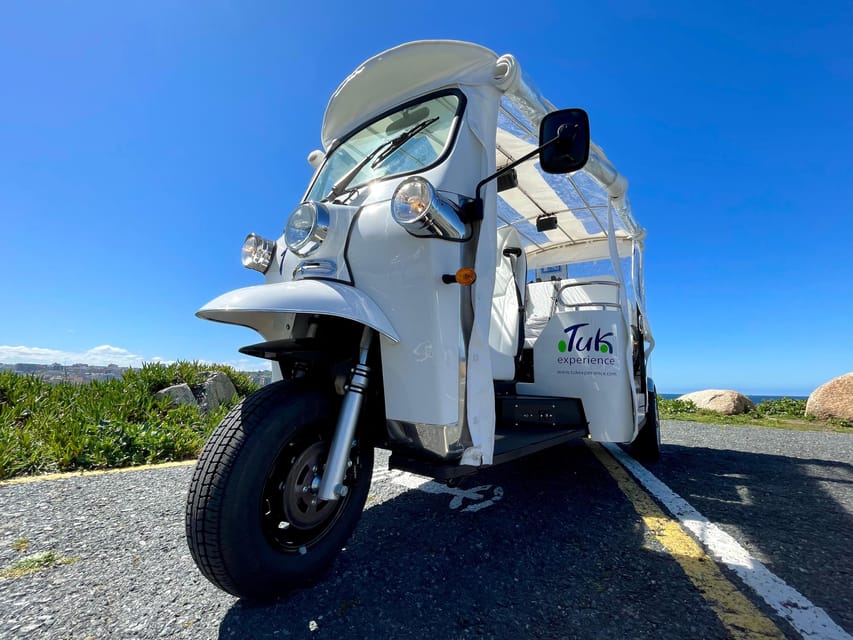 Malaga: VIP private Tuk Tuk tour - Who this fits best in Malaga (and who might prefer something else)