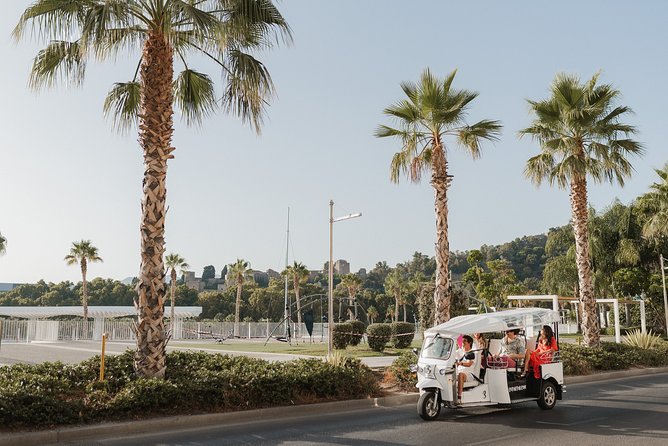 Malaga Welcome Tour with Local Guide in Eco Tuk Tuk Private - The ride itself: open-air fun, weather protection, and easy boarding