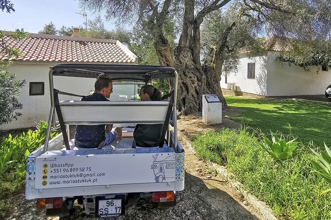 Meet Santa Luzia / Capital do Polvo / Salinas in a 100% electric Tuk Tuk - What two hours really means for your plans
