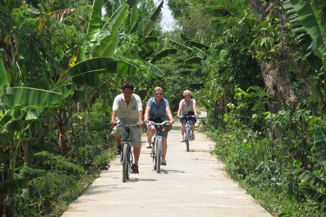 Mekong Delta 4 Islands, TukTuk, Boat, Try Khot Cake Local Cooking - Village Transport: Tuk Tuk or Electric Car Through Coconut Country