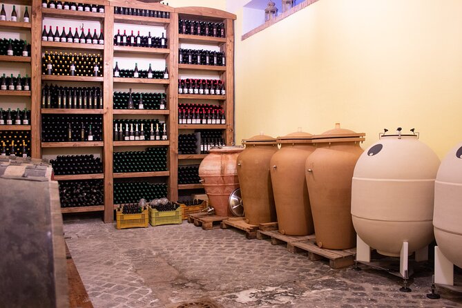 Naples Tuk Tuk Experience Views and Vineyards - Parco Virgiliano: the best single glance at the islands