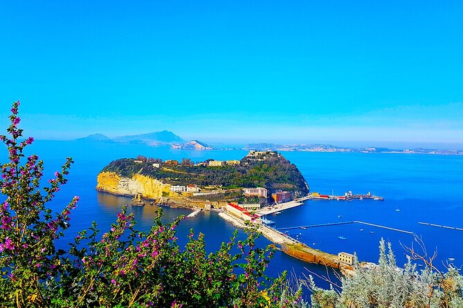 Naples Tuk Tuk Experience Views and Vineyards - Cantine Astroni: the real main event for wine lovers