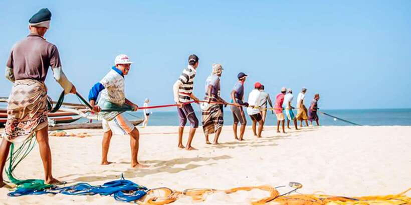 Negombo: Fishing Village Highlights Private Tour by Tuk Tuk - The Negombo Fish Market stop: where the day’s real work happens