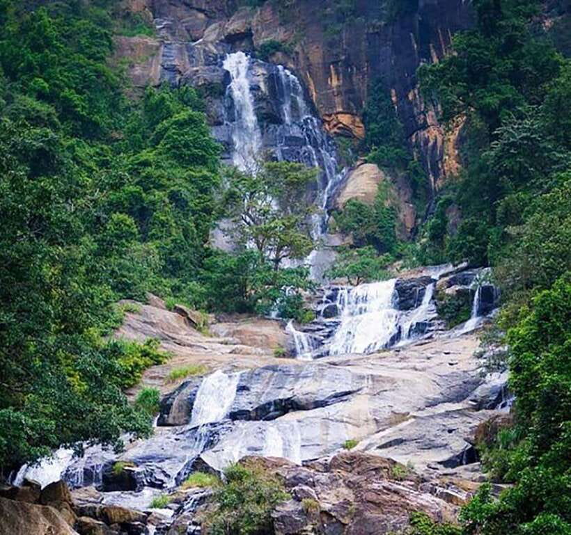 Nuwara Eliya: Tea Factory and Pickle Waterfalls Tuk Tuk Tour - A tuk tuk route that makes tea country feel close