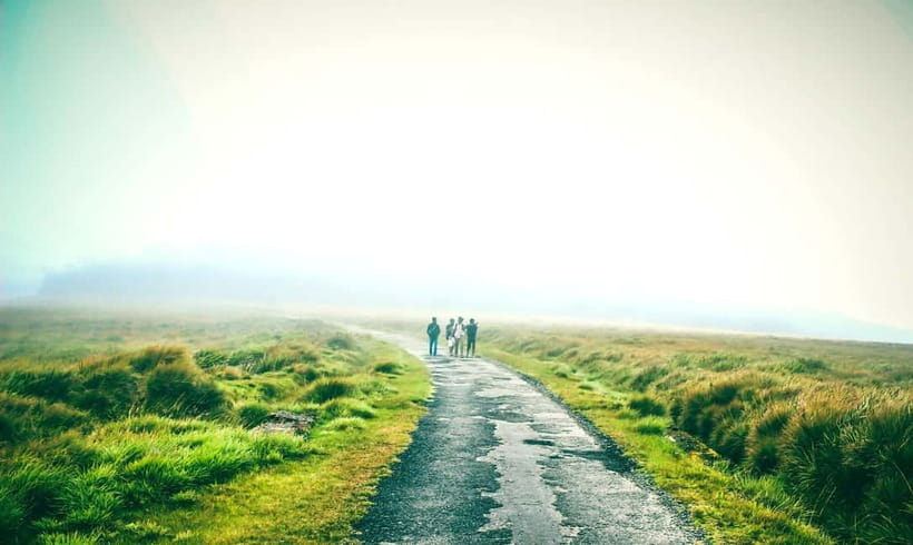Nuwara Eliya to Horton Plains, Strawberry& Ambewela Farm TUK - Horton Plains from Nuwara Eliya: the misty-morning payoff