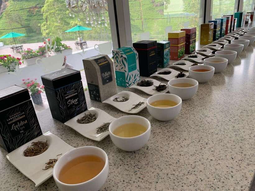 Nuwara Eliya Tuk-Tuk Tour Tea Picking,Tasting &Ramboda Falls - Guide and driver experience: punctual, patient, and photo-friendly