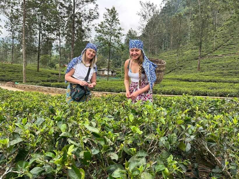 Nuwara Eliya Tuk-Tuk Tour Tea Picking,Tasting &Ramboda Falls - Small decisions that can improve your afternoon
