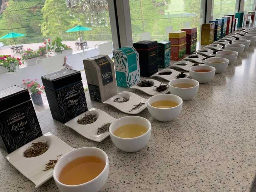 Nuwara Eliya Tuk-Tuk Tour Tea Picking,Tasting &Ramboda Falls - Who this tour suits best