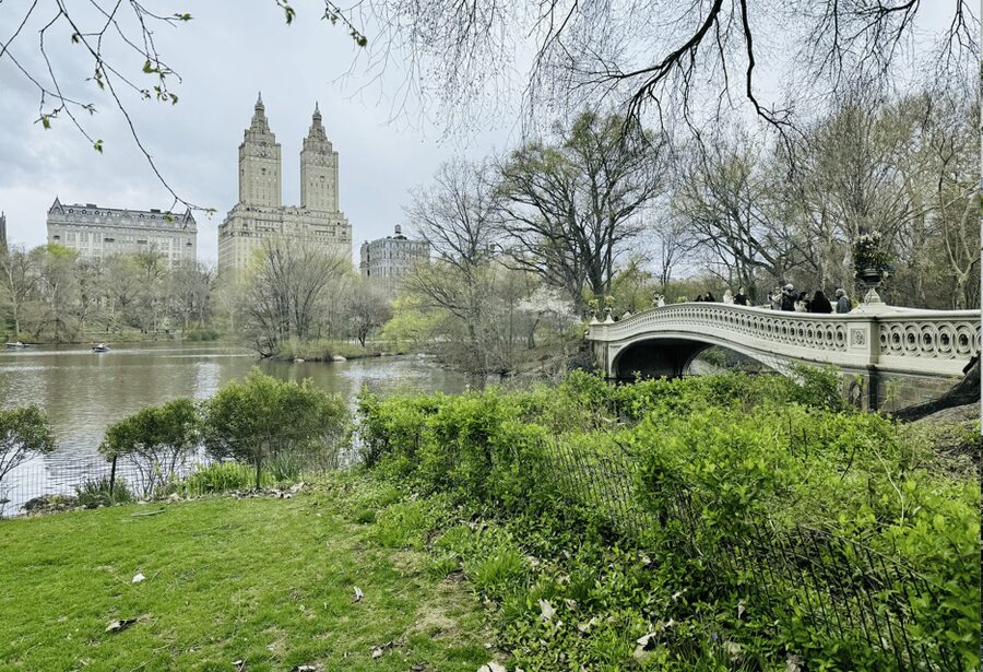 NYC: Central Park Rickshaw Tour / Private and Guided - Timing tips for the best experience during your 1–2 hour ride