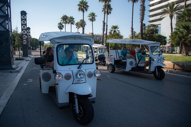 Official Tuk Tuk BCN l Barcelona 3 Hours City Tour - Magic Fountain: What to Expect and What Costs Extra