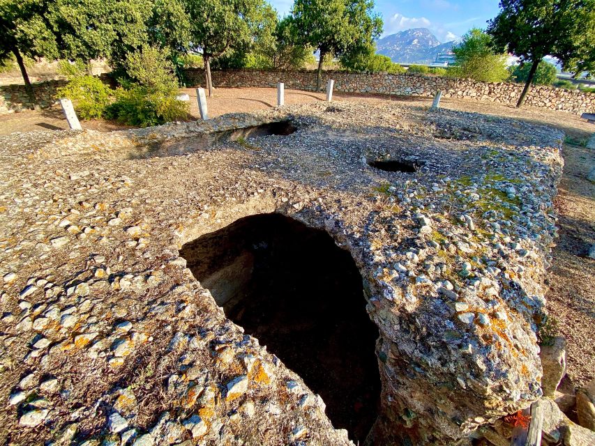 Olbia: Exclusive Guided City Tour in Tuk-Tuk - Practical Tips So You Don’t Feel Rushed