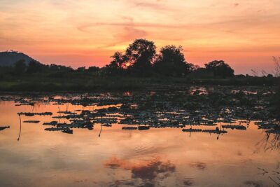 Old Siem Reap Sunset Food Tour by Tuk-Tuk - Price and Value: What $79 Buys (and Why It Adds Up)