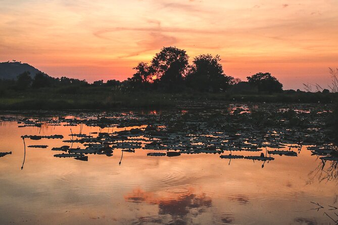 Old Siem Reap Sunset Food Tour by Tuk-Tuk - Price and Value: What $79 Buys (and Why It Adds Up)