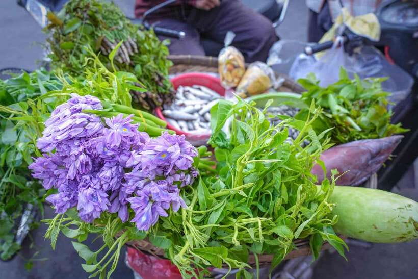 Phnom Penh: Morning Market & Guided Breakfast Tour by Tuktuk - Price and logistics: does $49 really make sense?
