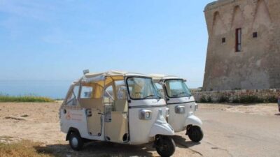 Polignano a Mare: Scenic Tuk-Tuk Tour Along the Coast - The coast run from Cala Incina to San Vito: cliffs, coves, and Saracen towers