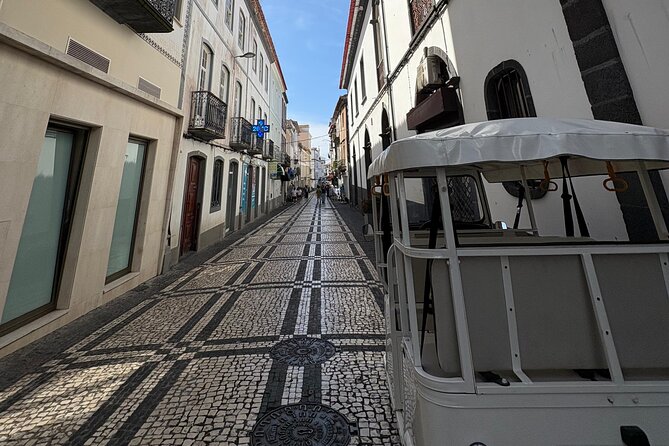 Ponta Delgada Private City Tuk Tuk Tour - Pineapple greenhouses and Jose do Canto: where the tour slows down a bit