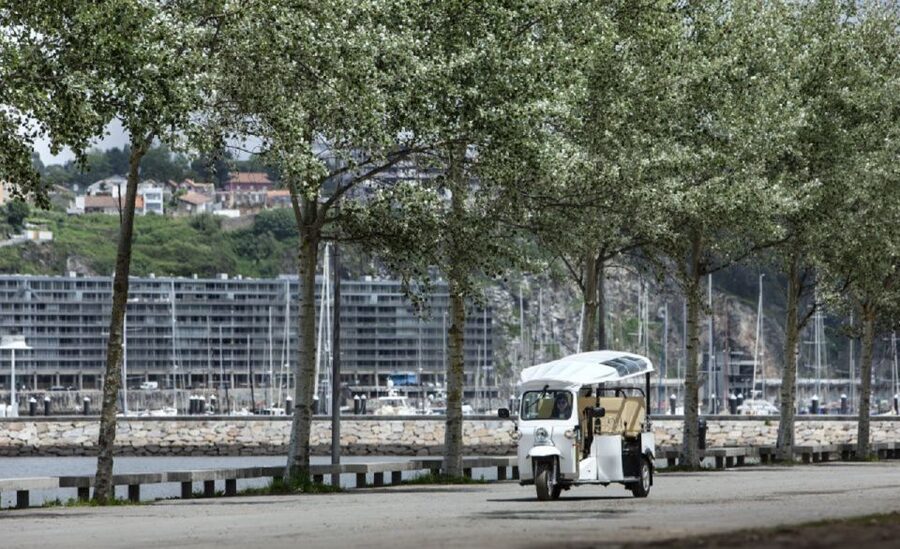 Porto: Private Sightseeing Tour by Electric Tuk Tuk - Serra do Pilar: The Monastery View That Changes How You See Porto